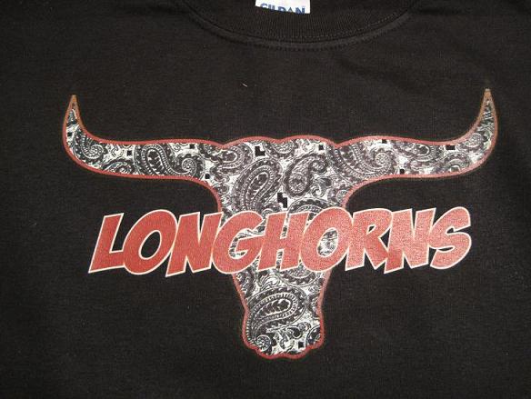 Paisley Longhorn